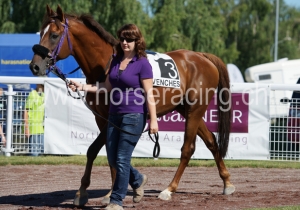 Kategorie: Avenches, 31. Juli 2013 (Scarlet